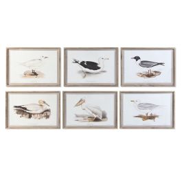 Cuadro DKD Home Decor 70 x 2,5 x 50 cm Tradicional Pájaros (6 Piezas)