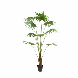 Planta Tropical DKD Home Decor Verde 90 x 210 x 90 cm (2 Unidades) Precio: 325.59000045. SKU: B1FSHPVLR2