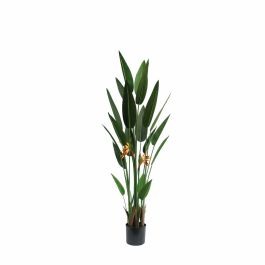 Planta Tropical DKD Home Decor Verde Naranja 60 x 160 x 60 cm (2 Unidades) Precio: 255.50000025. SKU: S3039759