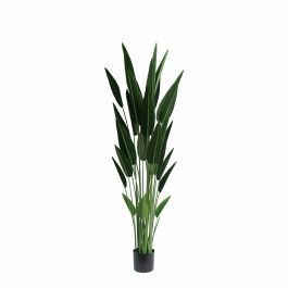 Planta Tropical DKD Home Decor Verde 80 x 180 x 80 cm (2 Unidades) Precio: 249.49999987. SKU: B125X6DDPY