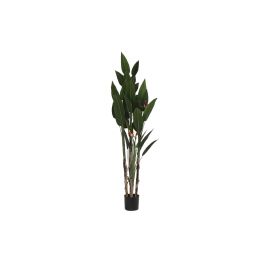 Planta Decorativa DKD Home Decor (90 x 90 x 200 cm) Precio: 211.94999969. SKU: S3042184