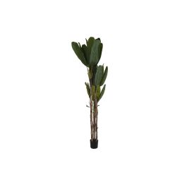 Planta Decorativa DKD Home Decor Bananera (90 x 90 x 250 cm) Precio: 149.9500002. SKU: S3042187