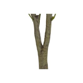 Arbol Terraza Y Jardin DKD Home Decor Verde Oscuro 80 x 180 x 80 cm (2 Unidades)