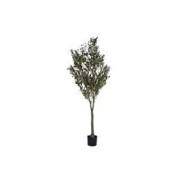 Arbol Terraza Y Jardin DKD Home Decor Verde Oscuro 80 x 180 x 80 cm (2 Unidades) Precio: 298.50000015. SKU: S3042192