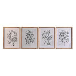 Cuadro DKD Home Decor Abeto Cristal 50 x 65 x 2 cm 50 x 2 x 65 cm Plantas botánicas (4 Piezas)