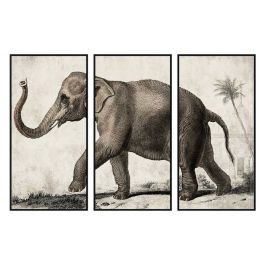 Lienzo DKD Home Decor 3 Piezas Elefante Colonial (180 x 4 x 120 cm)