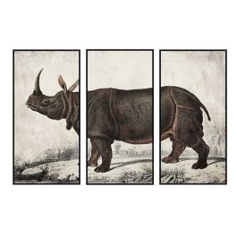 Cuadro DKD Home Decor Colonial Rinoceronte (180 x 4 x 120 cm)
