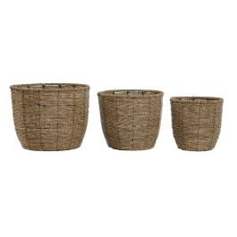 Macetero Tropical DKD Home Decor Marron 31 x 24 x 31 cm Set de 3 Precio: 33.2750003993. SKU: B167QNGP7Z