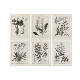 Cuadro Home ESPRIT Shabby Chic Plantas botánicas 40 x 1,5 x 50 cm (6 Unidades) Precio: 203.94999999. SKU: B1882SMS9J