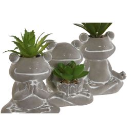 Planta DKD Home Decor Gris Verde 5 x 11 x 7.5 cm (3 Unidades)