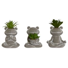 Planta DKD Home Decor Gris Verde 5 x 11 x 7.5 cm (3 Unidades) Precio: 5.94999955. SKU: B13CGKTENC