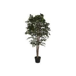 Árbol Home ESPRIT Polietileno Ficus 100 x 100 x 210 cm Precio: 138.449652. SKU: B1DVJZZMVK