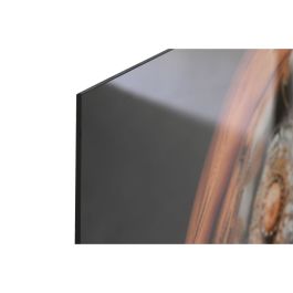 Cuadro Home ESPRIT Impreso 80 x 0,04 x 120 cm