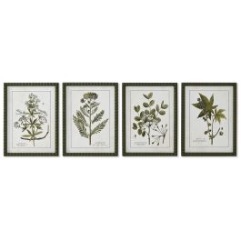 Cuadro Home ESPRIT Verde Beige Shabby Chic Plantas botánicas 30 x 2,5 x 40 cm (4 Unidades)