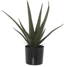 Planta Decorativa Alexandra House Living Plástico Aloe Vera 11 x 11 x 39 cm Precio: 52.78999979. SKU: B1JSB6CW98