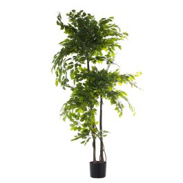 Planta Decorativa Alexandra House Living Plástico Ficus 18 x 22 x 162 cm Precio: 166.50000026. SKU: B1DKX8NPTK