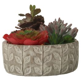 Planta Decorativa Alexandra House Living Plástico Suculenta 20 x 21 x 18 cm Precio: 40.94999975. SKU: B13ZMSB3N8