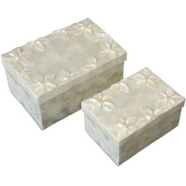 Juego de Cajas Decorativas Alexandra House Living Nácar 2 Piezas Precio: 50.759499286099995. SKU: B1H8KWNB5C