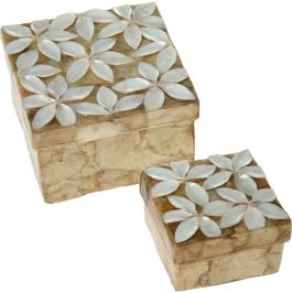 Juego de Cajas Decorativas Alexandra House Living Marrón Nácar 2 Piezas Precio: 33.5049007018. SKU: B16D8NWHRJ