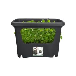 ELHO - Maceta - Green Basics Stack & Grow Large - Living Black - Exterior - L 35.1 x W 50.9 x H 35.7 cm ELHO - Maceta - Green Basics Stack & Grow Large - Living Black - Exterior - L 35.1 x W 50.9 x H 35.7 cm