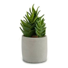 Cactus Plastico Echeveria 25Cm Ibergarden (6 Unidades) Precio: 68.5899995. SKU: S3600766