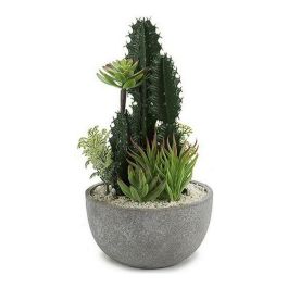 Centro de Cactus Redondo Surtido 2 - Ibergarden 15.5x29x15.5 cm, Verde, Gris, Blanco (6 Unidades)