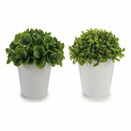 Maceta Blanca Hojas Cortas 2 Modelos Ibergarden 13X17CM (24 Unidades) Precio: 53.69000021. SKU: S3605248
