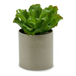 Maceta Planta Hoja Ondulada 3 Col Surt Ibergarden 20X25CM (12 Unidades) Precio: 64.49999985. SKU: S3603281
