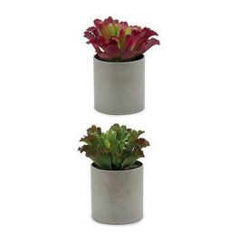 Maceta Planta Hoja Ondulada 3 Col Surt Ibergarden 20X25CM (12 Unidades) Maceta Planta Hoja Ondulada 3 Col Surt Ibergarden 20X25CM (12 Unidades)