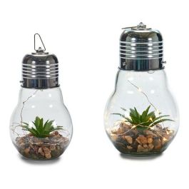 Bombilla Cactus Tira Led Giftdecor 14x29x14 cm Cristal Transparente Verde (8 Unidades) Precio: 80.50000046. SKU: S3607313
