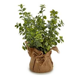 Planta Ramas Saco Blanca Surtidos Ibergarden 12X32CM (12 Unidades)