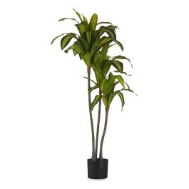 Planta Decorativa Hoja ancha Verde Plástico (70 x 120 x 70 cm) Precio: 110.9933. SKU: S3611151