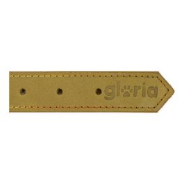 Collar para Perro Gloria Oasis Verde (60 x 3 cm)
