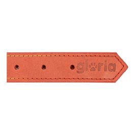 Collar para Perro Gloria Oasis Rojo (65 x 3 cm)