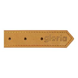 Collar para Perro Gloria Oasis Amarillo (70 x 3 cm)