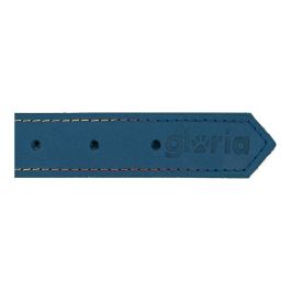 Collar para Perro Gloria Oasis Azul (70 x 3 cm)