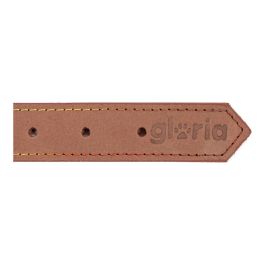 Collar para Perro Gloria Oasis Marrón (1,2 x 35 cm)