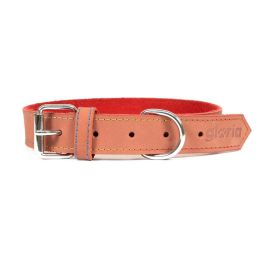 Collar para Perro Gloria Oasis Rojo (1,5 x 40 cm) Precio: 7.49999987. SKU: S6100684