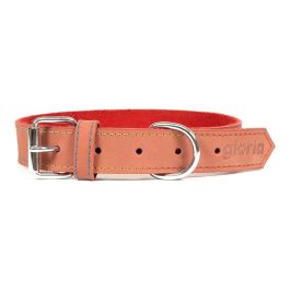 Collar para Perro Gloria Oasis Rojo (45 x 1,8 cm) Precio: 9.0749998427. SKU: S6100694