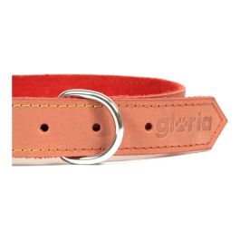 Collar para Perro Gloria Oasis Rojo (45 x 1,8 cm)