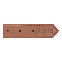 Collar para Perro Gloria Oasis Marrón (50 x 2,1 cm)