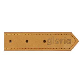 Collar para Perro Gloria Oasis Amarillo (1,5 x 40 cm)