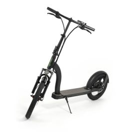 Patinete Eléctrico Youin YOUIN SCOOTER ELECTRIC 2XL Negro 350 W