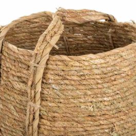 Capazo Alexandra House Living Fibra natural 33 x 48 x 27 cm