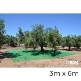 Malla EDM Recogedor de frutas Verde Polipropileno 3 x 6 m