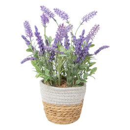 Planta Decorativa Romimex Plástico Fibra Lavanda 15 x 38 x 15 cm Precio: 25.4999998. SKU: B1FXPNBB2N