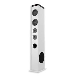Torre de Sonido Bluetooth Avenzo AV-ST4001W