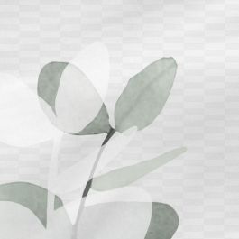 Funda de almohada HappyFriday Blanc Corymbia Multicolor 50 x 75 cm (2 Unidades)