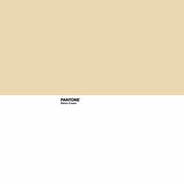 Funda Nórdica Pantone Melon Cream Cama de 135 (220 x 220 cm)