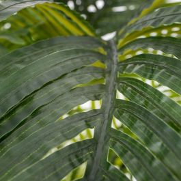 Planta Decorativa Polietileno Palmera 170 cm